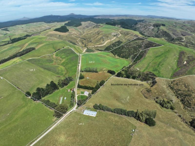 58-mcelwee-road-meadowbanki-palmerston