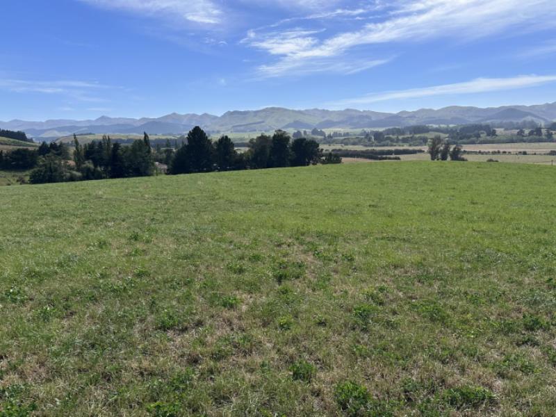 58-mcelwee-road-meadowbanki-palmerston