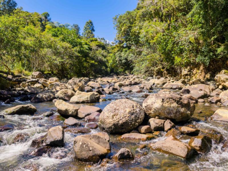 1052-wekaweka-road-waimamaku