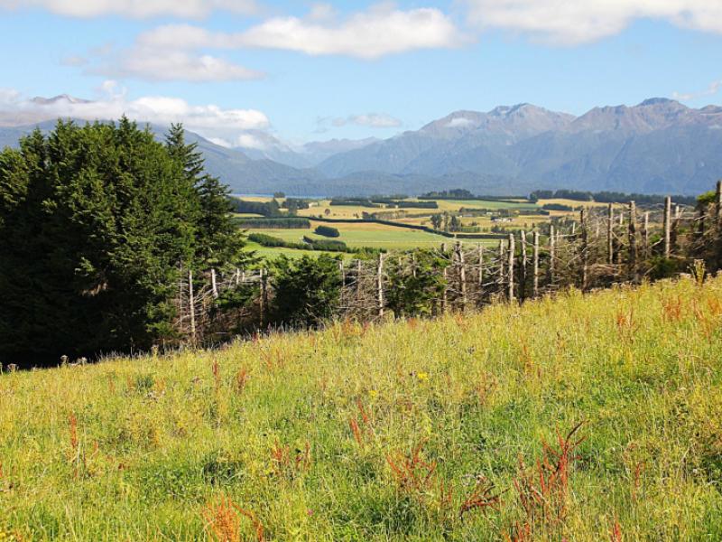 112-ridgedale-road-te-anau