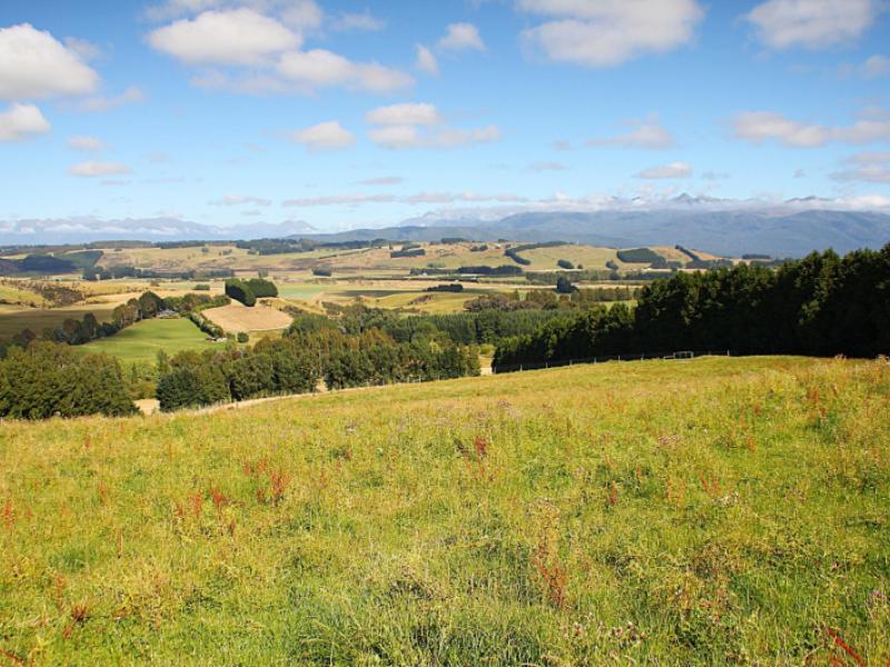 112-ridgedale-road-te-anau