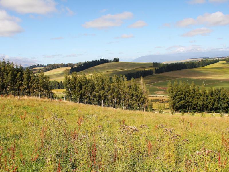 112-ridgedale-road-te-anau