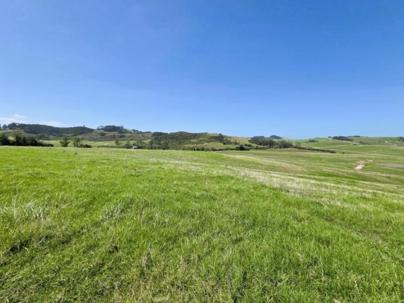 77-molloy-road-ruawai