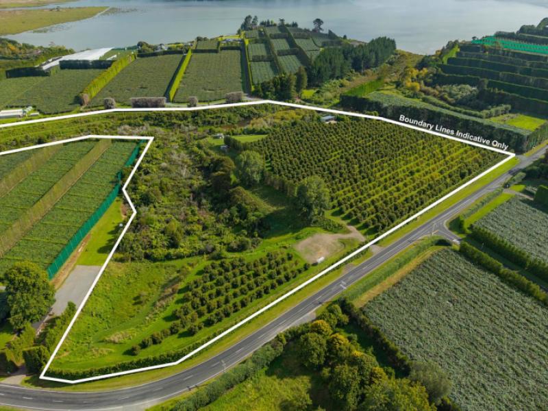 169-tuapiro-road-katikati