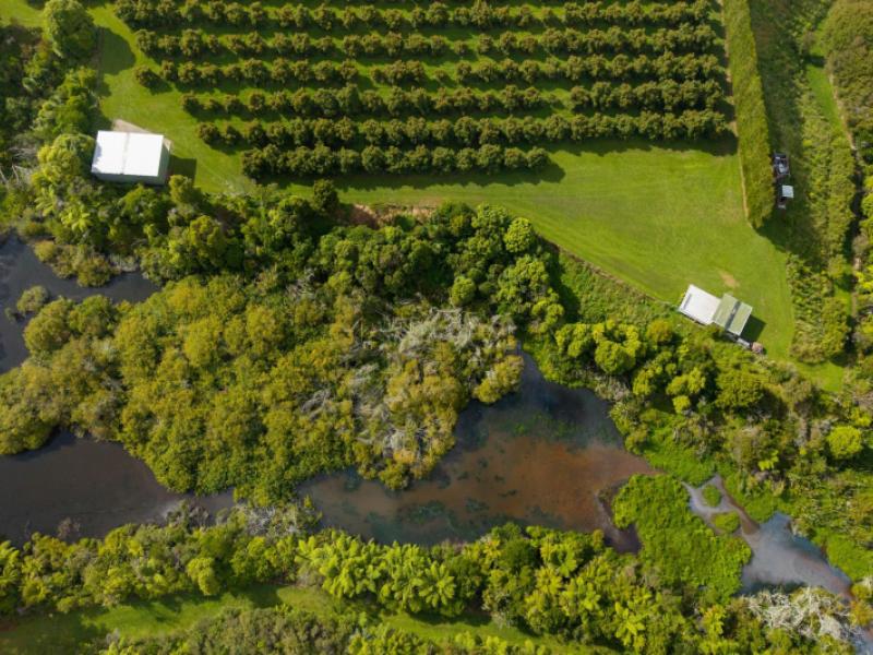 169-tuapiro-road-katikati