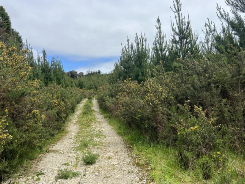 marsden-road-marsden