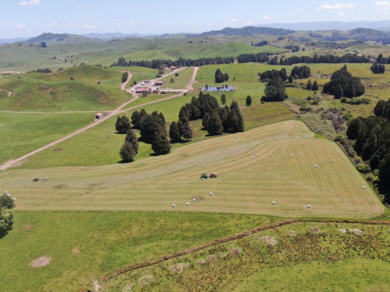 24-pukeuha-road-aria