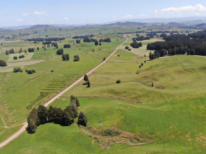 24-pukeuha-road-aria