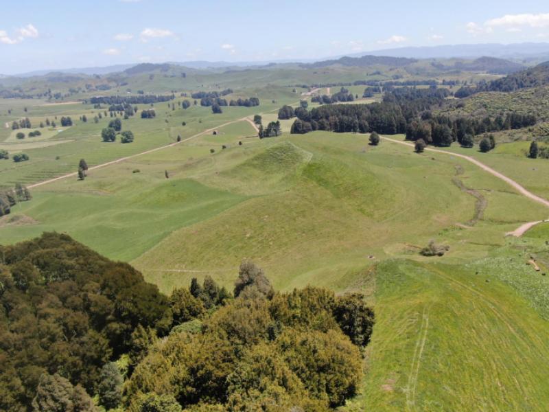 24-pukeuha-road-aria