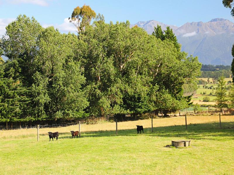 88-ridgedale-road-te-anau