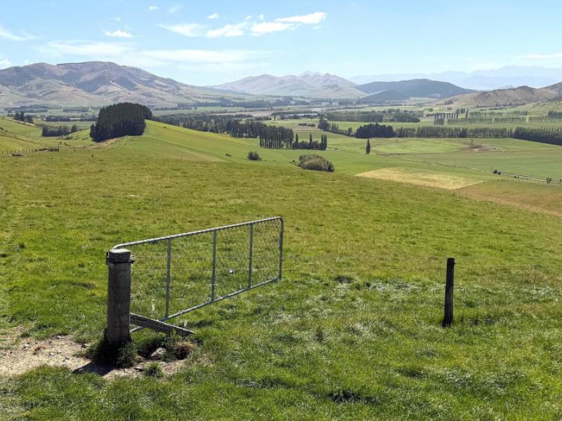 caroline-valley-road-dipton