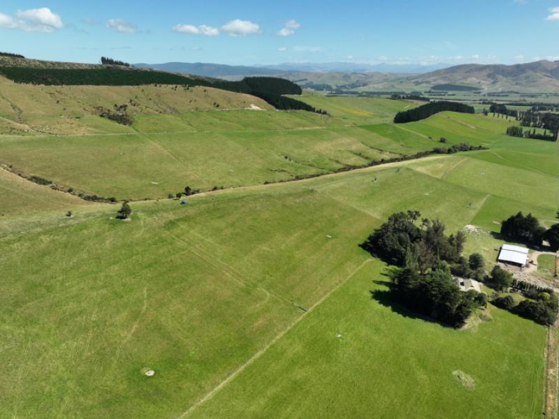 caroline-valley-road-dipton