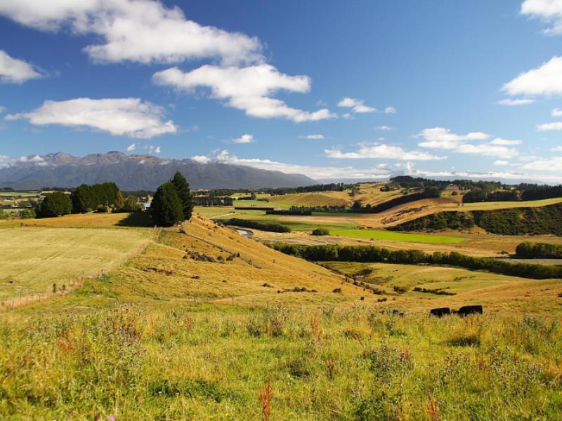 93-ridgedale-road-te-anau