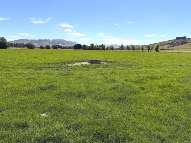 200-caroline-valley-road-dipton