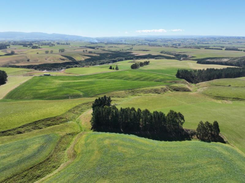 675-black-bridge-road-ashley-downs