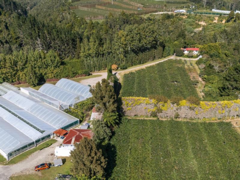 1164-no-3-road-te-puke