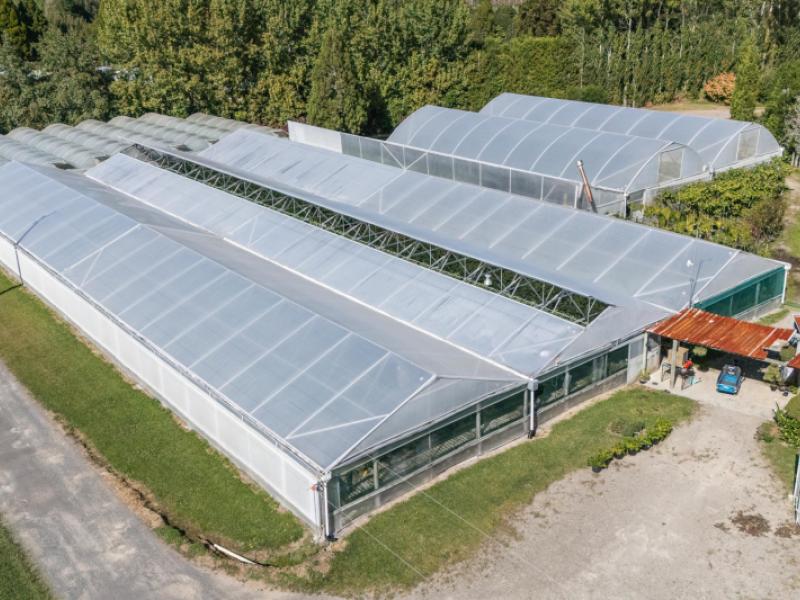 1164-no-3-road-te-puke