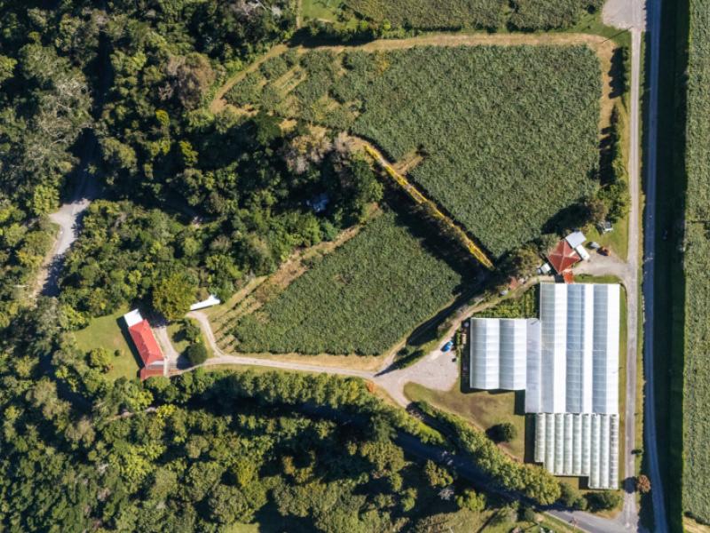 1164-no-3-road-te-puke