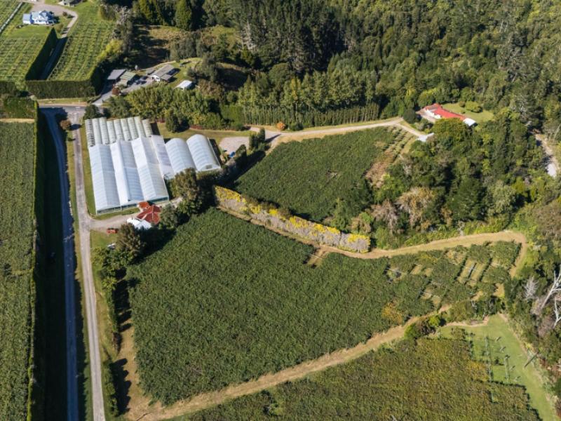 1164-no-3-road-te-puke