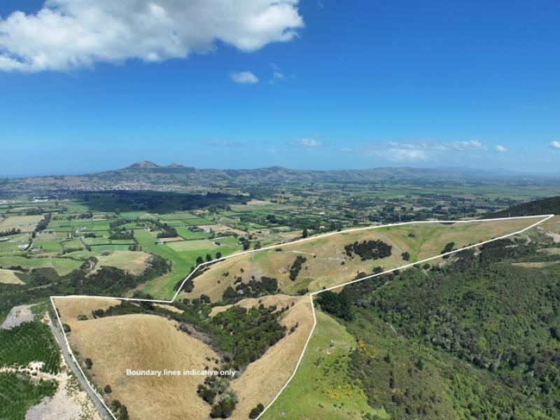 160-taioma-road-north-taieri