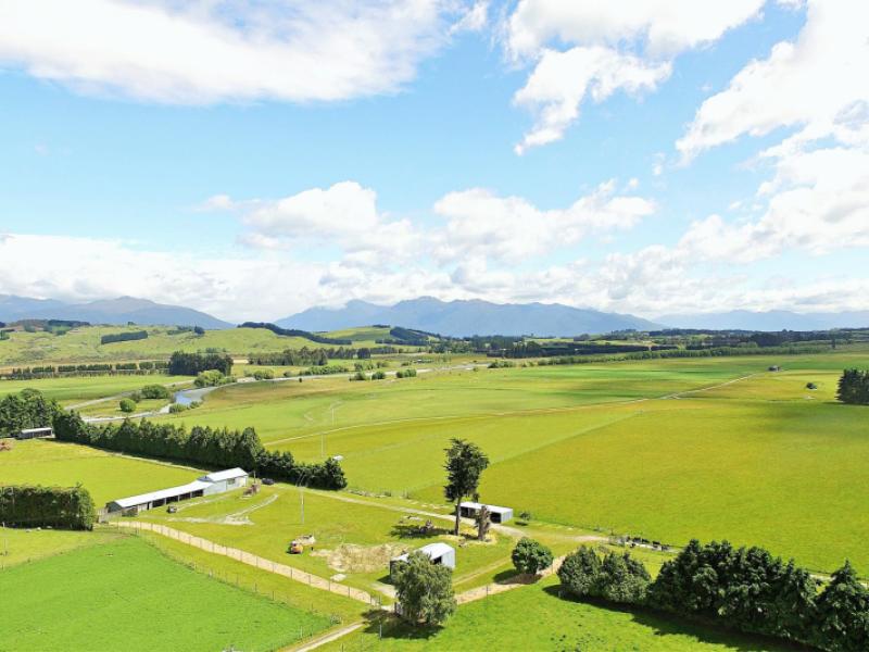 105-lynwood-road-hillside