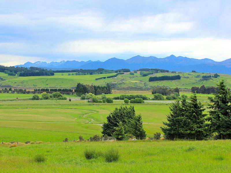 105-lynwood-road-hillside