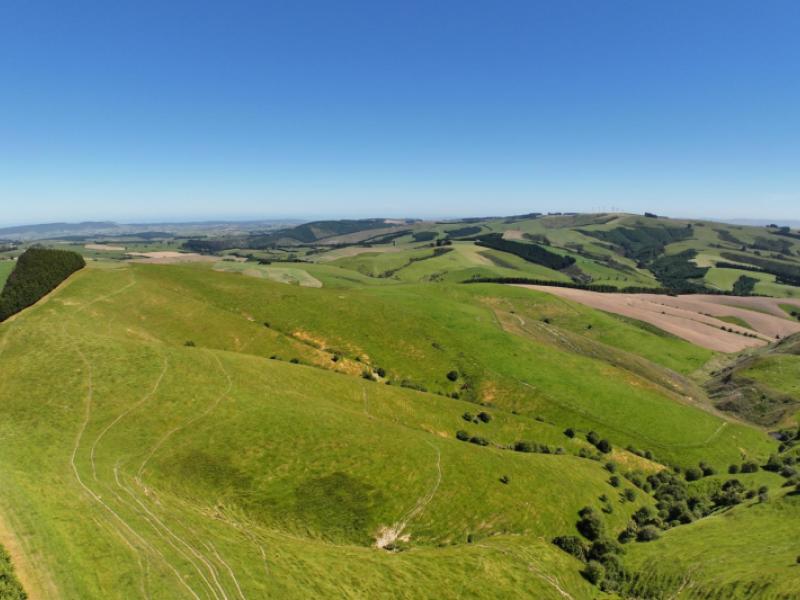 1916-manuka-gorge-road-waitahuna-gully
