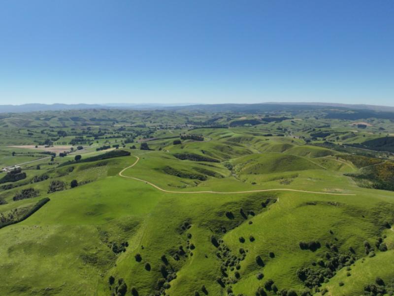 1916-manuka-gorge-road-waitahuna-gully