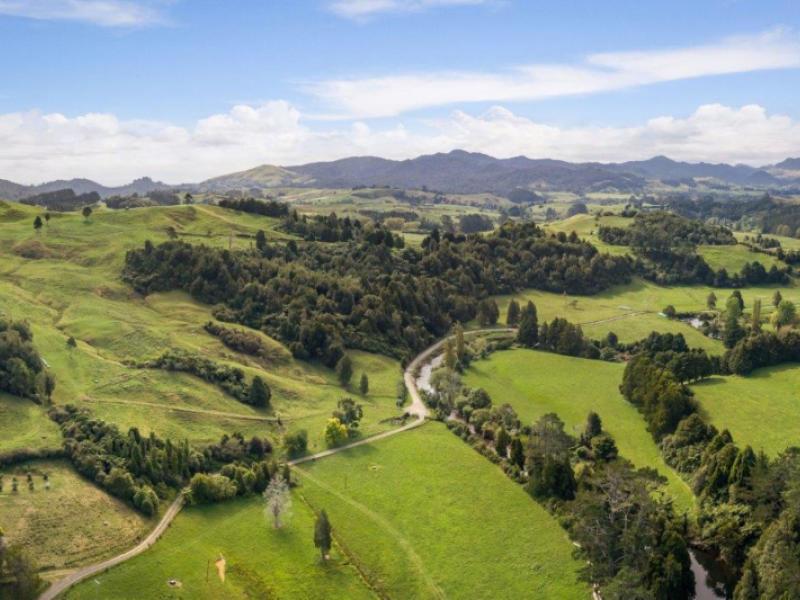 58-deam-road-waihi