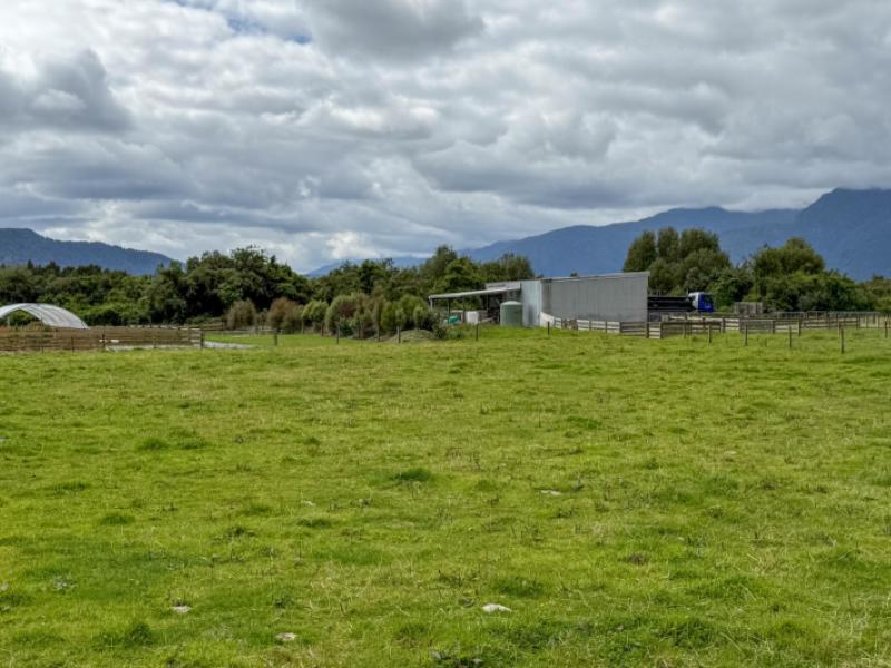 221-docherty-creek-rd-and-waiho-flat-road--franz-josef