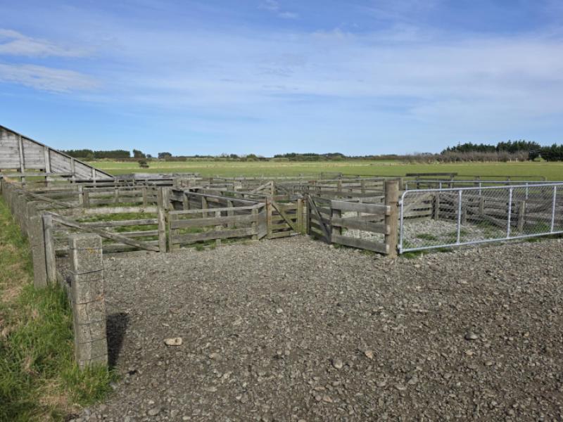 141110-and-155-collean-road-wallacetown