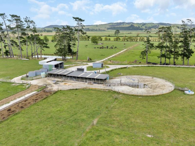 1067-hoanga-road-dargaville