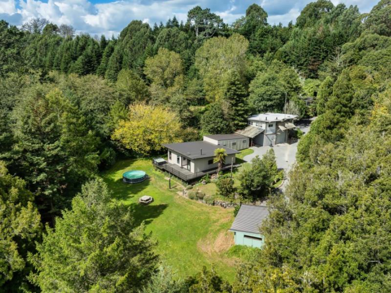 soldiers-road-lower-kaimai
