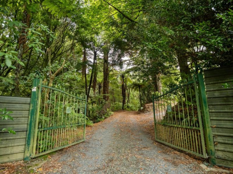 soldiers-road-lower-kaimai