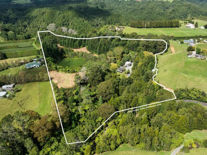 soldiers-road-lower-kaimai