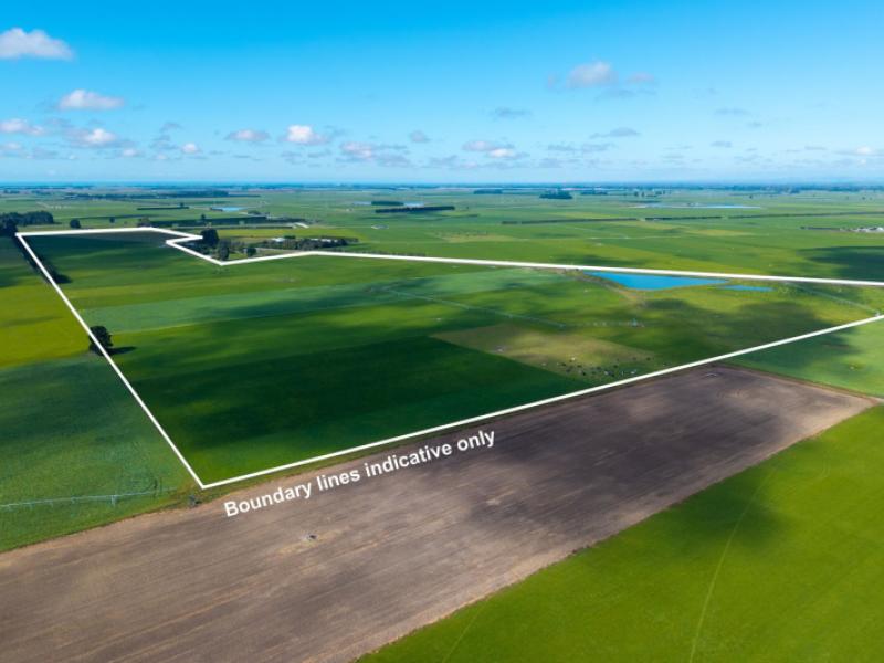 rangitata-orari-bridge-highway-rangitata