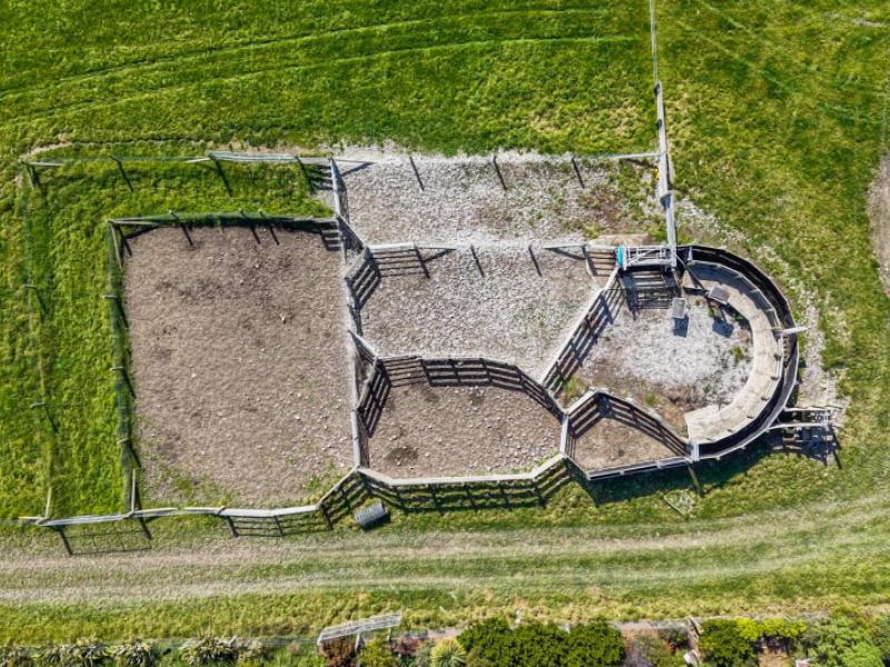 rangitata-orari-bridge-highway-rangitata