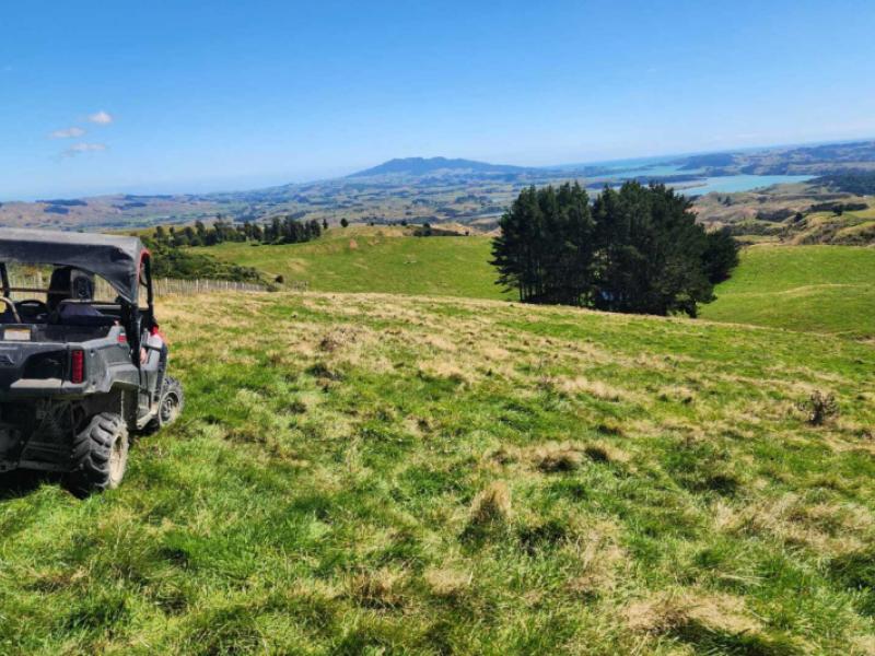 319-ohautira-road-raglan