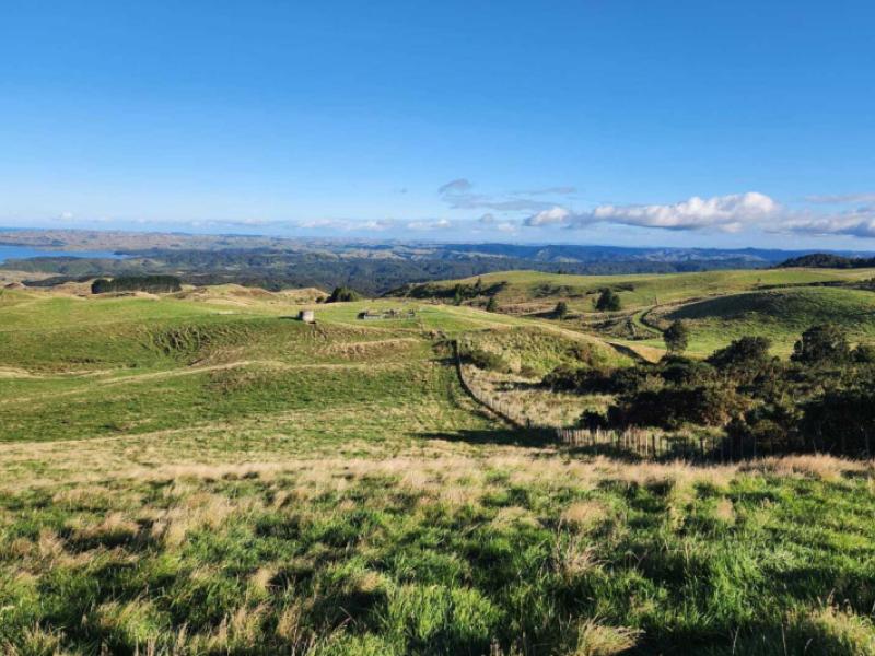 319-ohautira-road-raglan