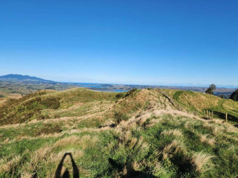 319-ohautira-road-raglan