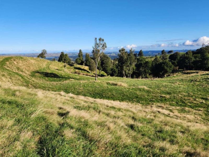 588-ohautira-road-raglan