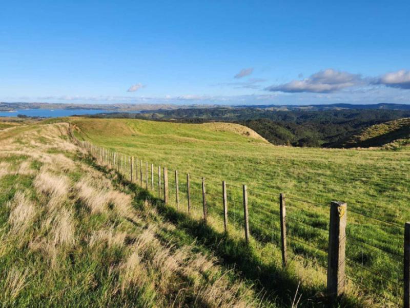 588-ohautira-road-raglan