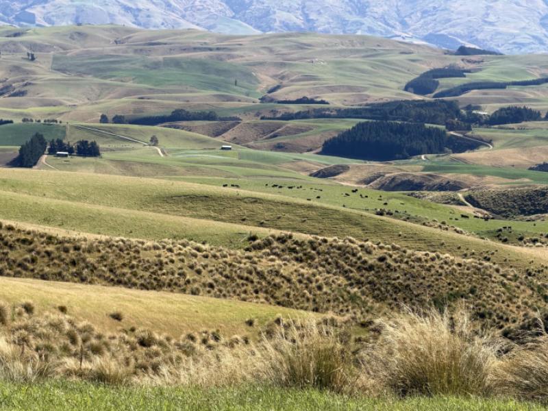 665-901-tima-burn-road-teviot