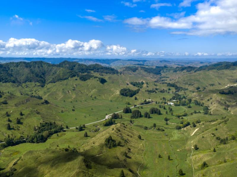 1221-waitewhena-road-taumarunui