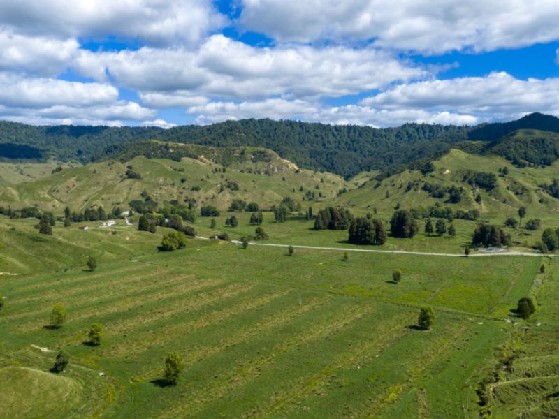 1221-waitewhena-road-taumarunui