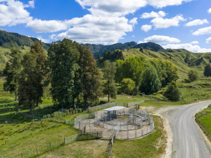 1221-waitewhena-road-taumarunui