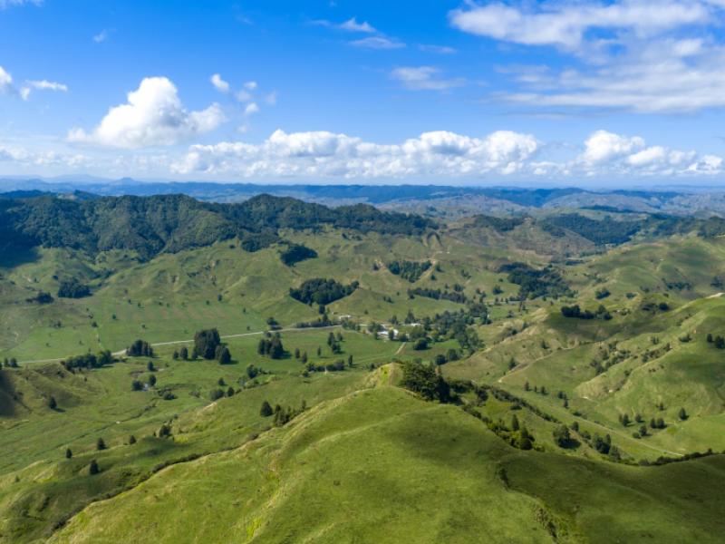 1221-waitewhena-road-taumarunui