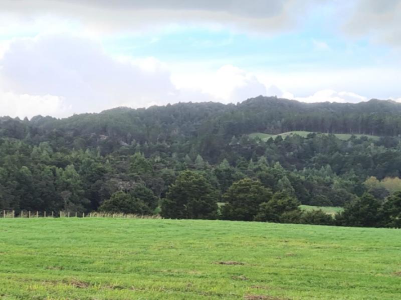 lot-1-dodd-road-maungaturoto