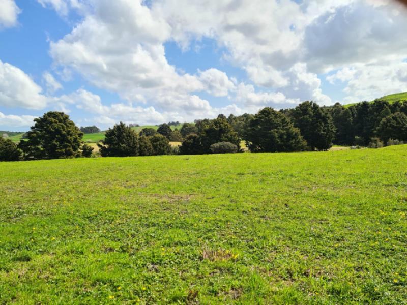 lot-2-dodd-road-maungaturoto