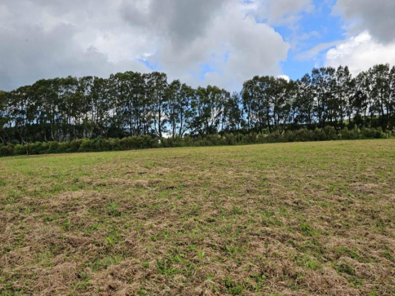 lot-3-dodd-road-maungaturoto